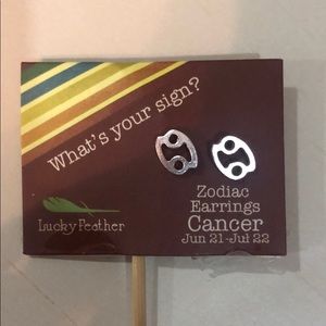 Zodiac Cancer Earrings